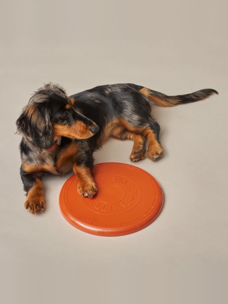 HERMES　エルメス　犬用 フリスビー　ドッグ　フライングディスク 犬用フリスビー 《ウフ》 | Hermès - エルメス-公式サイト